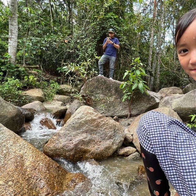 Day Trip - Back to Nature Cafe