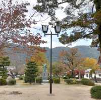 錦帯橋紅葉谷公園

