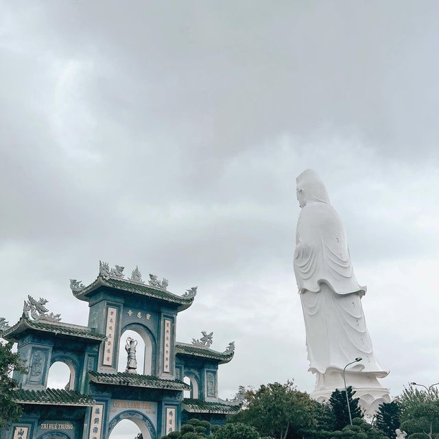 xin chao vietnam🇻🇳