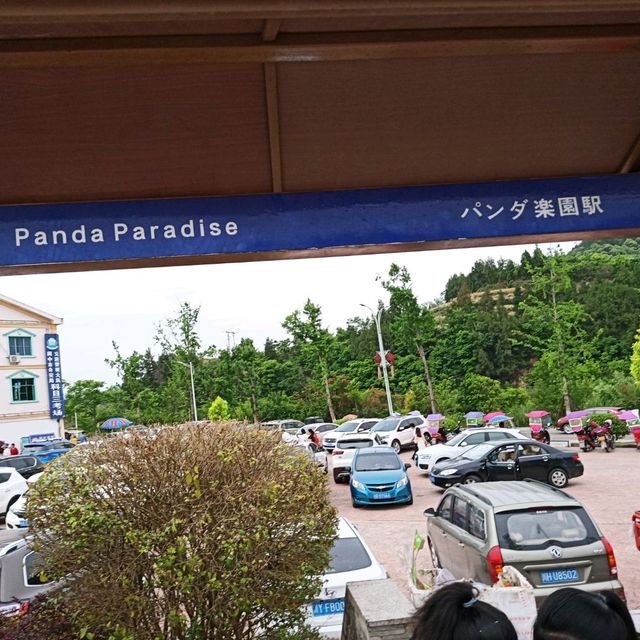 中国 四川省 閬中 "熊猫乐园" バス停に日本語で「パンダ楽園駅」!? 偶然見つけたパンダ園!!🐼