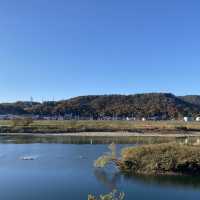 景色優美日本犬山木曾川