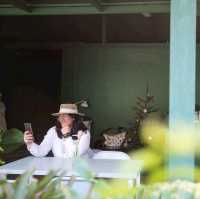 ที่พักกระบี่บรรยากาศดีริมลำธาร BluMonkey Pooltara
