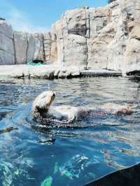 Monterey Bay Aquarium