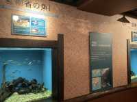 岐阜県•各務原市🐠世界最大級の淡水魚水族館【アクアトト岐阜】