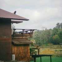โฮมสเตย์บ้านนาต้นจั่น  