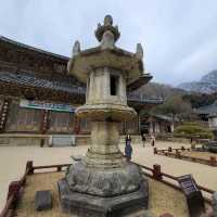 구례 화엄사