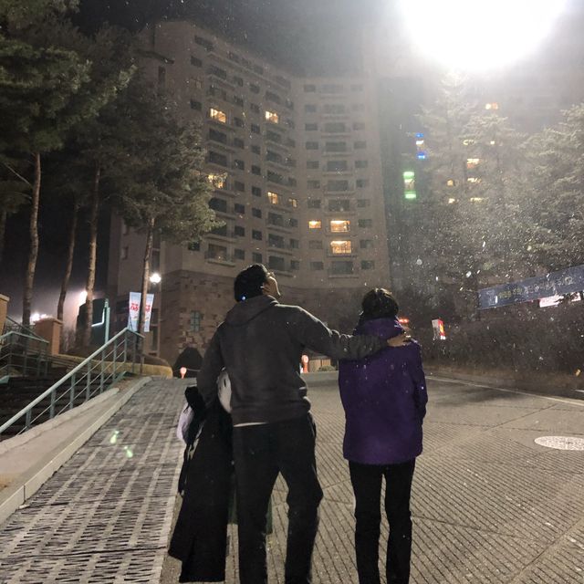 야간권은 오크밸리에서 ⛷🎿🏂