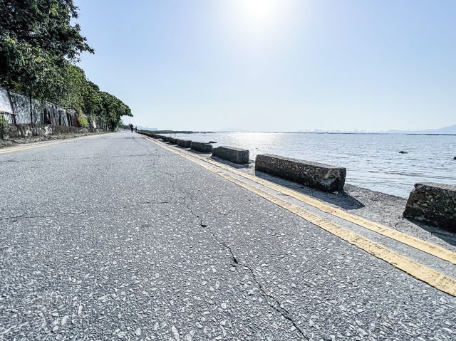最美海景 下白泥
