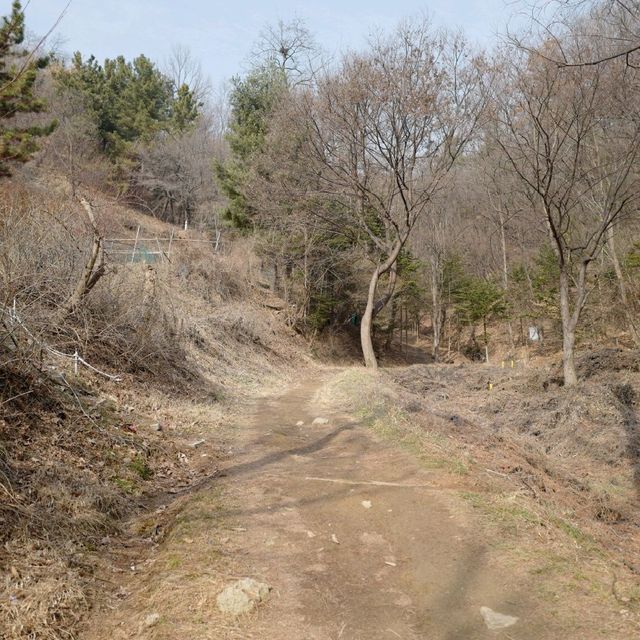 대전 우성이산 등산 