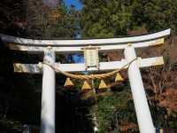 歷史悠久➡️寶登山神社⛩️