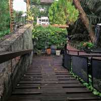 ปั่นจักรยานชมวิวที่บางกระเจ้า