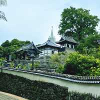 【長崎県】平戸を代表する景色に想いを巡らせる旅！