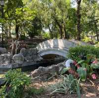 九龍市區玩足一日,有遊樂場/園林公園/歷史遺跡/特色cafe，仲可以有單車俓踏單車😍 