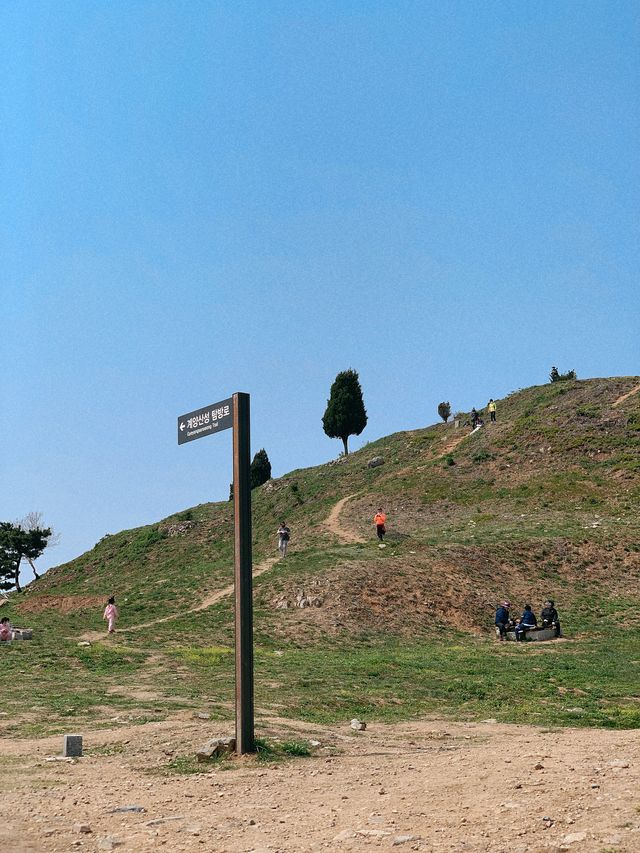 계양산성 ⛰️ 인천 피크닉 추천지