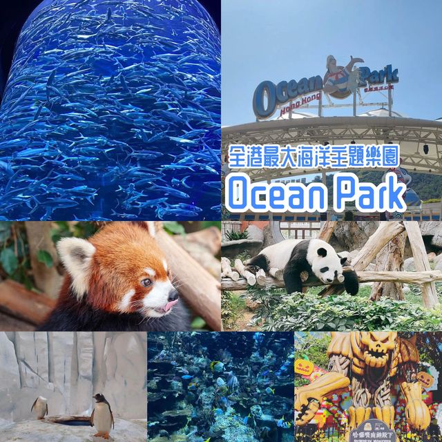 全港最大海洋公園‼️超令水族館😗期間限定萬聖節🎃活動