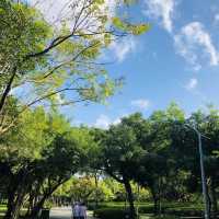 寶可夢迷快來💙💛 Daan Forest Park 大安森林公園