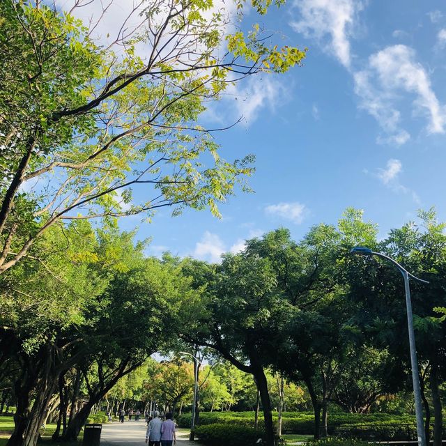 寶可夢迷快來💙💛 Daan Forest Park 大安森林公園