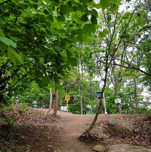 군포 수리산 피크닉