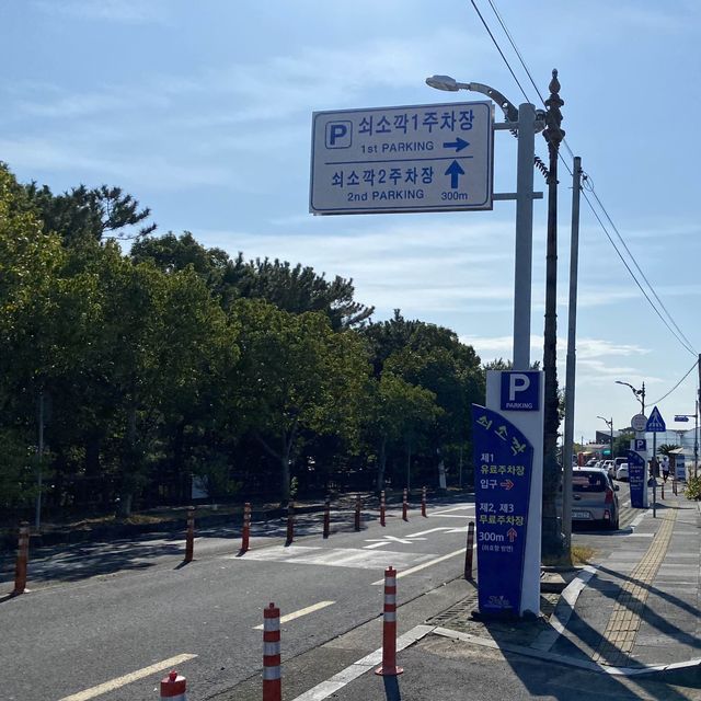 제주도 여행 꼭 가봐야할 곳 쇠소깍