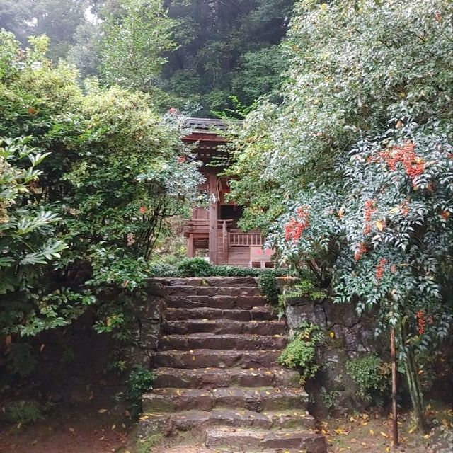 兎に縁のある神社　世界遺産　宇治上神社