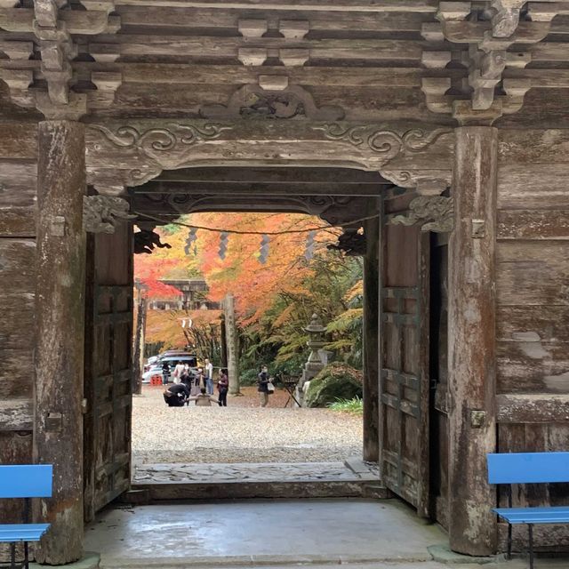 約3000本の樹林が色づく絶景