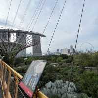 OCBC skyway