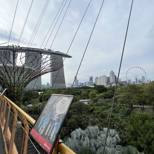 OCBC skyway