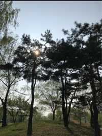 韓國 天空公園｜ 打卡景點