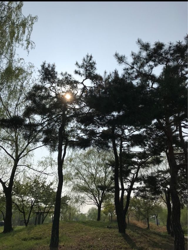 韓國 天空公園｜ 打卡景點