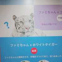 ニフレル　familiarコラボ