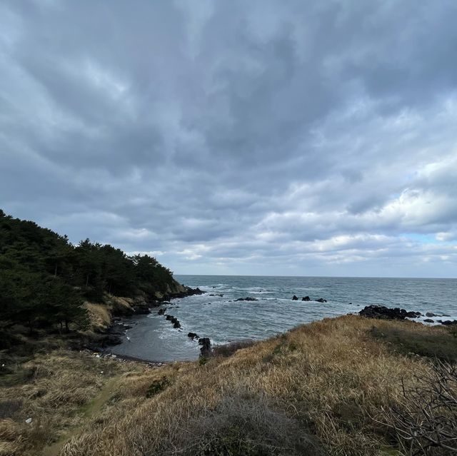 옛 조상들의 지혜를 엿볼 수 있는 원담🐟
