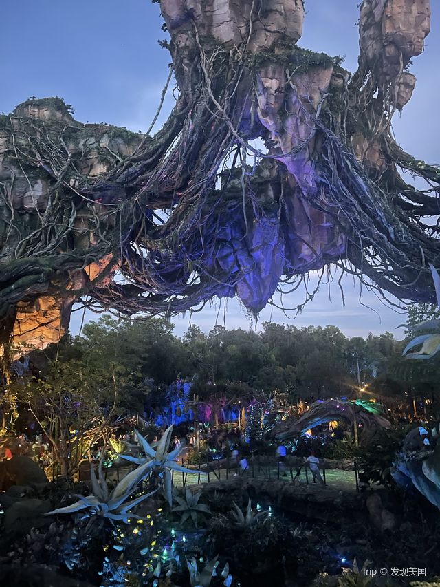 Disney’s Animal Kingdom - Pandora 