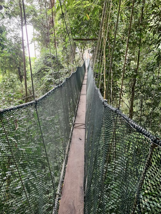 Poring Hot Springs - Borneo, Malaysia 