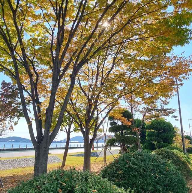 Fall in Pyeongwha Square