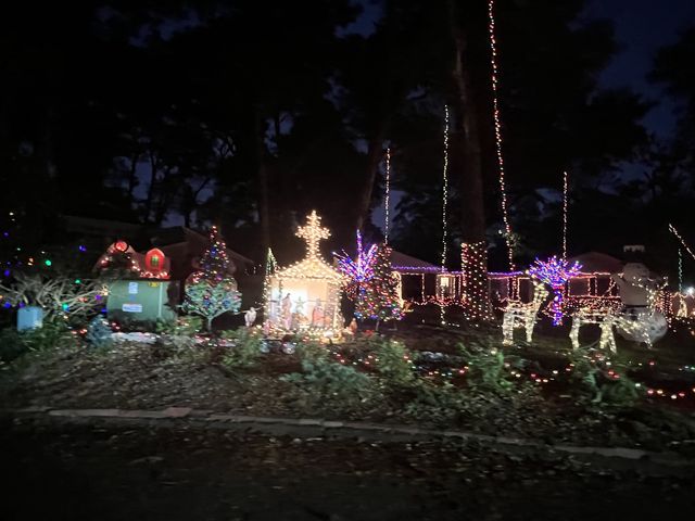 Christmas Village Light- Drive thru 