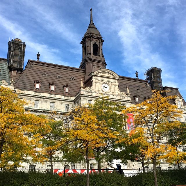 the colors of fall in Montreal, Canada 