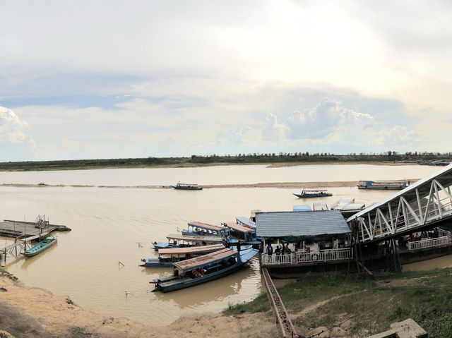 Visiting Lotus field and Lake Tonle Sap