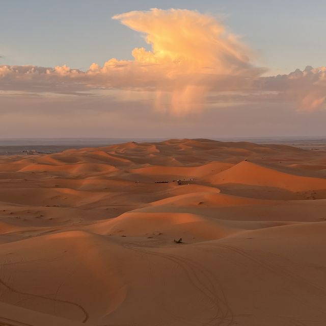 Sahara desert tour
