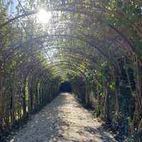 Mirabell Gardens