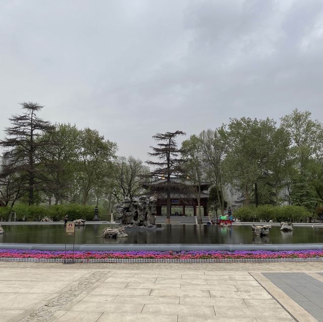 Xingqinggong park (part1)- Incredible flowers