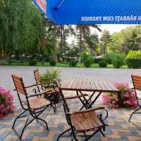 Mara Hotel Lacu Sărat 