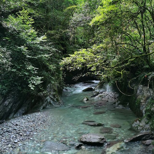 Yamugou(亚木沟)| Enjoy the nature