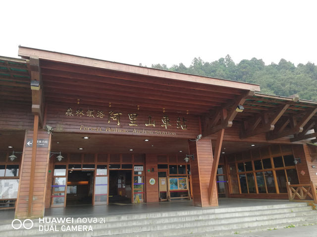 阿里山看日出