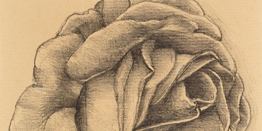 Art History Lecture ticket : Go Forth into Nature | Northampton Museum and Art Gallery