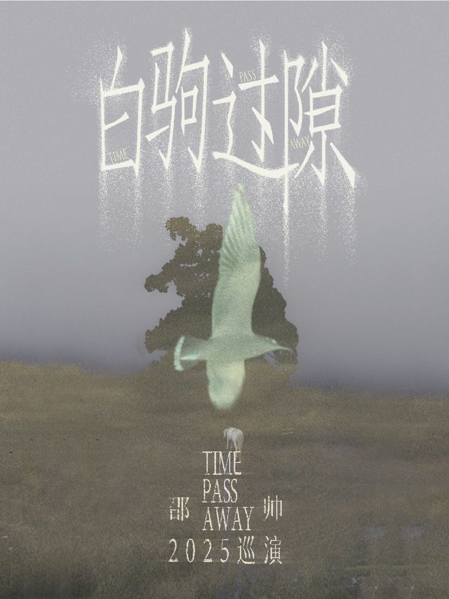 邵帥「白駒過隙」2025巡演｜演唱會 | 聲音共和Livehouse