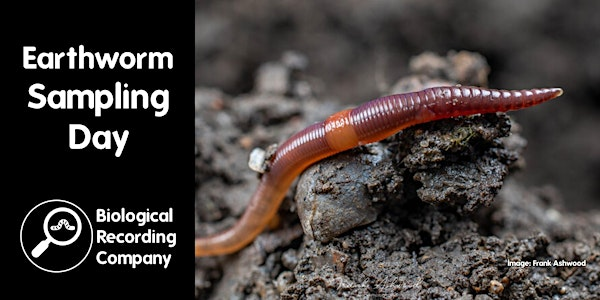 Earthworm Sampling Day | London Gatwick