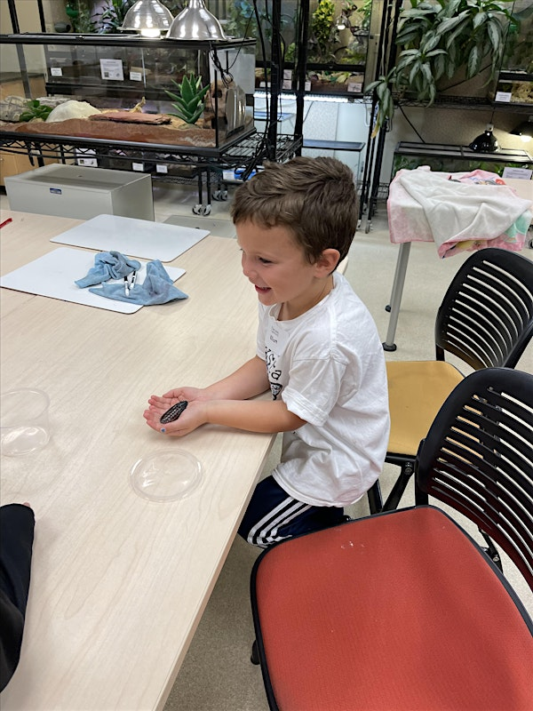 Bug Bash: Creepy Crawly Bug Camp   | Grades K-1 | Van Andel Institute for Education