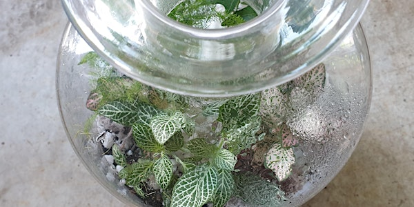 Terrarium workshop - build your own garden in a bottle | 91 Trafalgar St