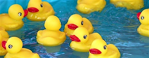 Sponsor a Racing Duck! Donate Today! | The Historic Village at Allaire