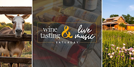 Wine Tasting and Live Acoustic Music by Dave Semans | Anna, TX | BarnHill Vineyards